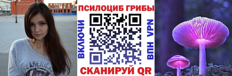ссылка на мегу как войти  Заречный  Псилоцибиновые грибы Cubensis 
